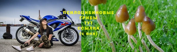 эйфоретик Бугульма