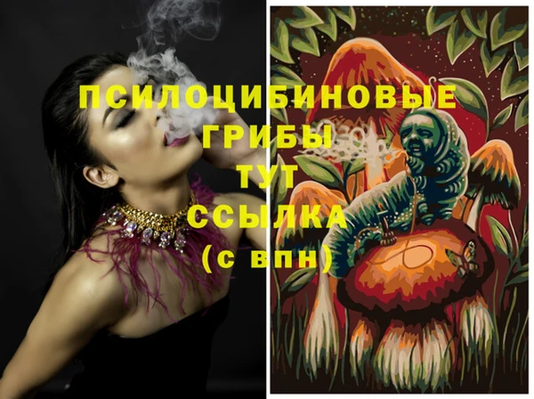Альфа ПВП Бронницы