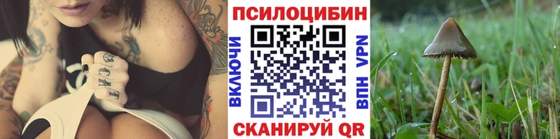 Псилоцибиновые грибы мухоморы  Купить  Видное 